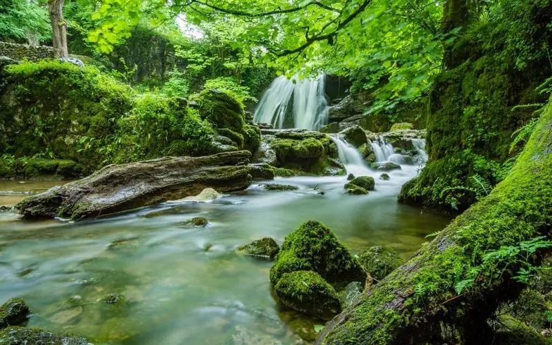 高质量高标准